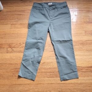 LOFT Women's Gray Green Cotton Chinos With Stretch Size 4